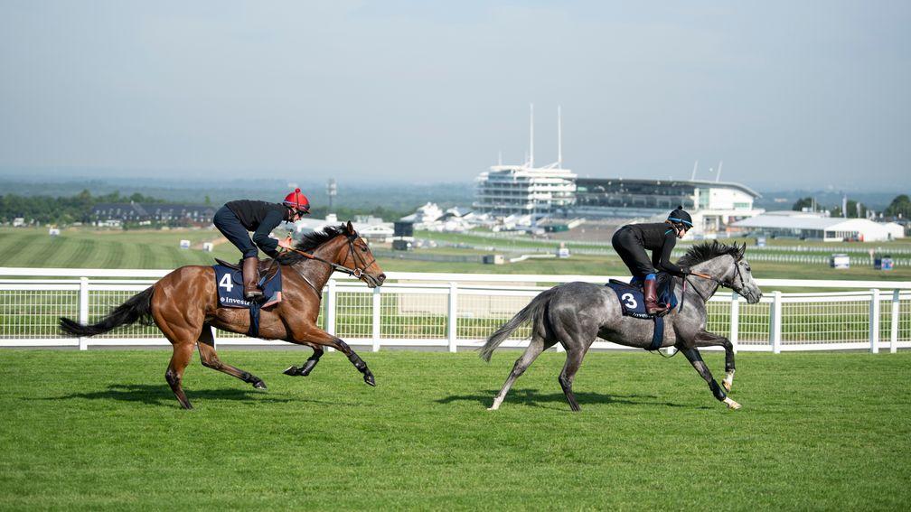 Perfect Clarity (Adam Kirby) follows Luire down the hill to Tattenham Corner at Breakfast With The Stars