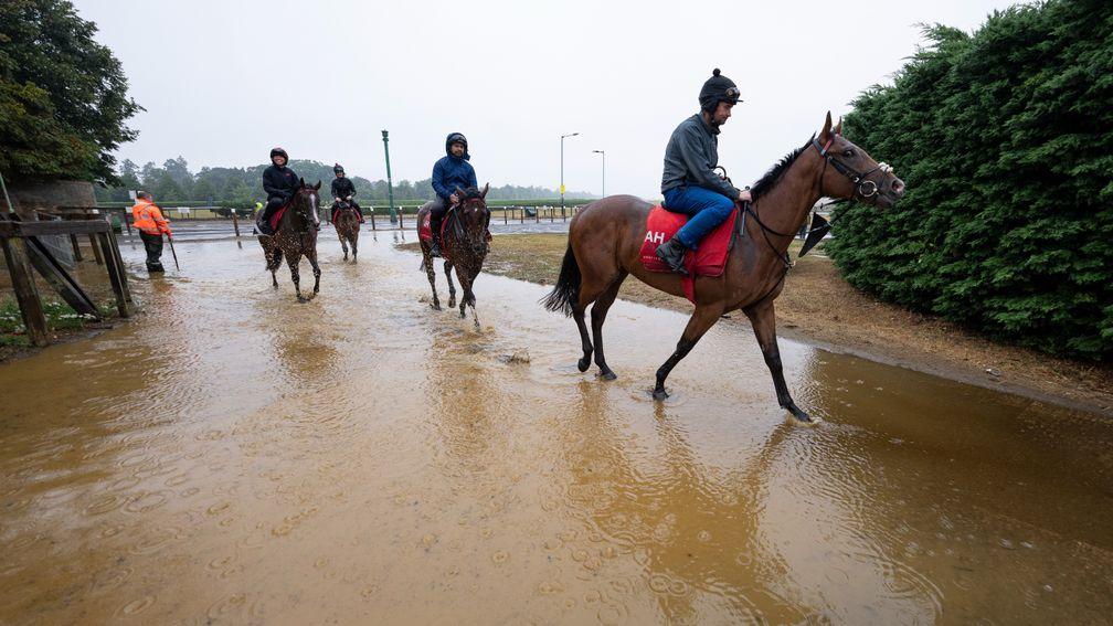 Torrential rain along with with thunder and lightning hits Newmarket as racehorses walk to Warren Hill Newmarket 25.8.22 Pic: Edward Whitaker