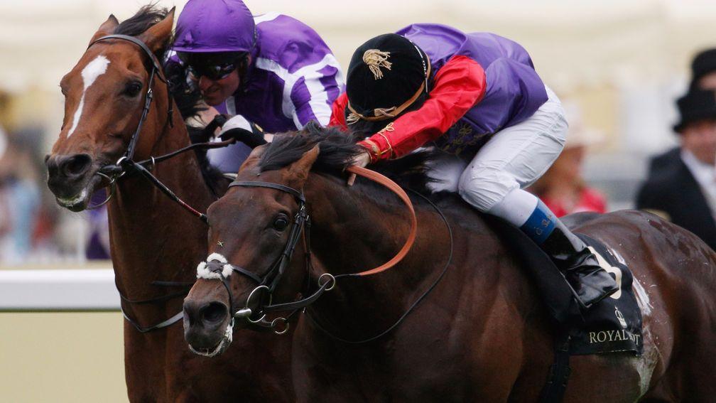 Dartmouth: a Royal Ascot winner for the Queen last year