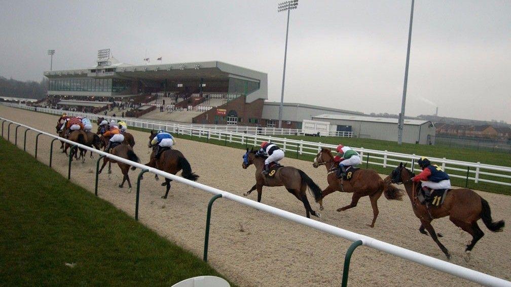 Wolverhampton: Berlusca was a regular at the all-weather venue