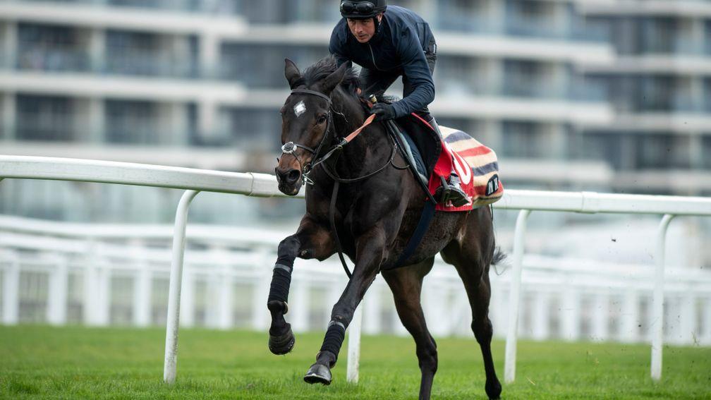 Altior stretches his legs during a gallop at Newbury