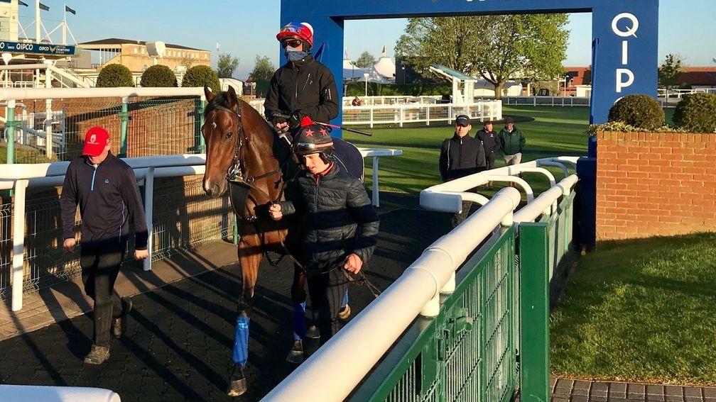 Calyx: worked on the Rowley Mile at Newmarket under Frankie Dettori on Friday morning