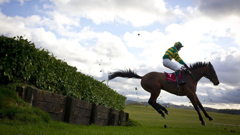 Auvergnat: Enda Bolger is hoping for better from him after he flopped in the Cross-Country at Cheltenham last month