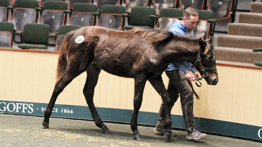 The Poet's Word colt out of Dinaria Des Obeaux who made €75,000