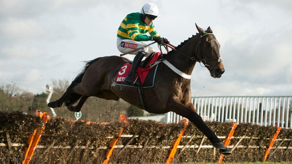 Buveur d'Air: looks an obvious contender for the Stan James Champion Hurdle