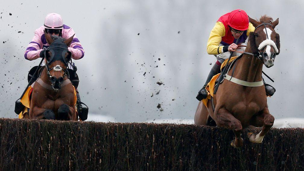 NEWBURY, ENGLAND - FEBRUARY 11:  Aidan Coleman riding Native River (R) clear the last to win The Betfair Denman Steeple Chase from Le Mercurey (L) at Newbury Racecourse on February 11, 2017 in Newbury, England. (Photo by Alan Crowhurst/Getty Images)