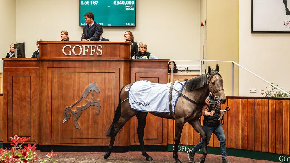 The Dark Angel filly out of Dubai Power strides past the rostrum