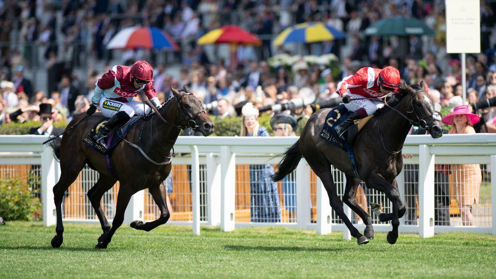 Berkshire Shadow (left) heads to Goodwood on Tuesday after winning the Coventry Stakes