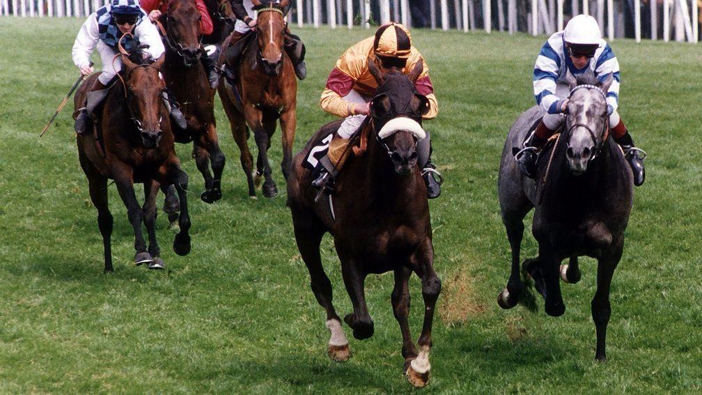 Indian Queen with Walter Swinburn (noseband) win the  1991 Gold Cup at Ascot