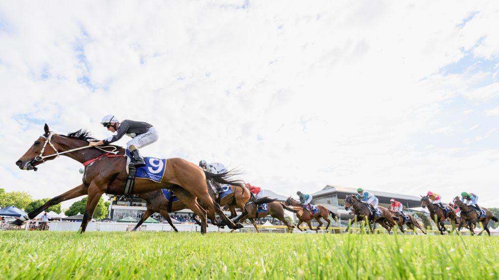 Racing at Riccarton Park, home of the New Zealand 2,000 and 1,000 Guineas