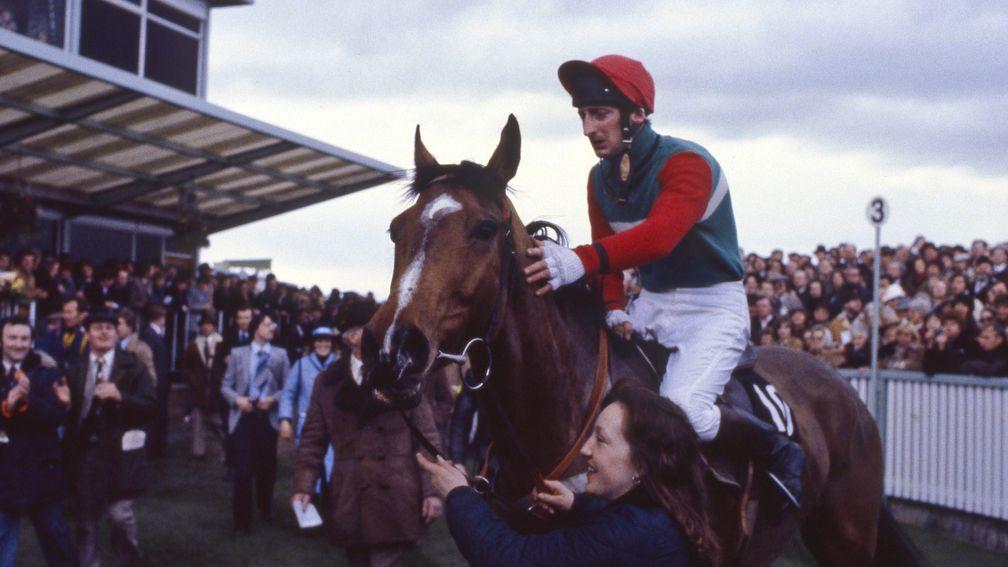 Little Owl and Jim Wilson return after the 1981 Gold Cup