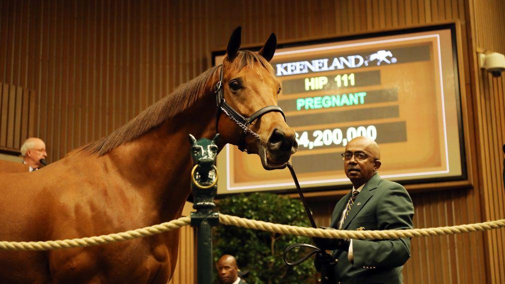 Lady Eli: John Sikura thought she would have made 'way more' than $4.2m