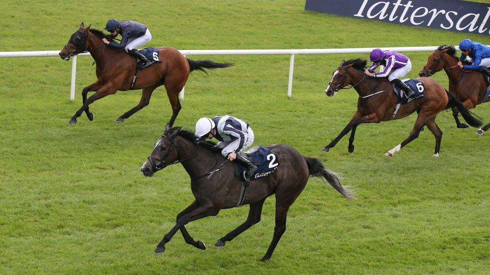 Could Be Love( far side) finishing second in Irish 1.000 Guineas