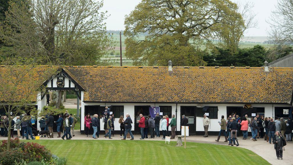 Visitors pour through the gates at Nicky Henderson's Seven Barrows stables 12 months ago