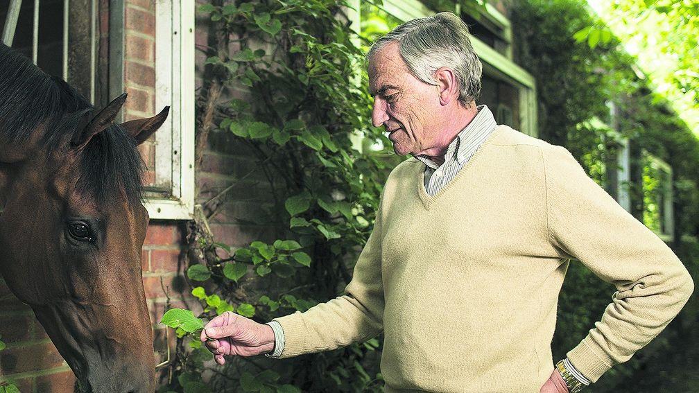 Luca Cumani: trainer of seven Classic winners at Bedford House Stables