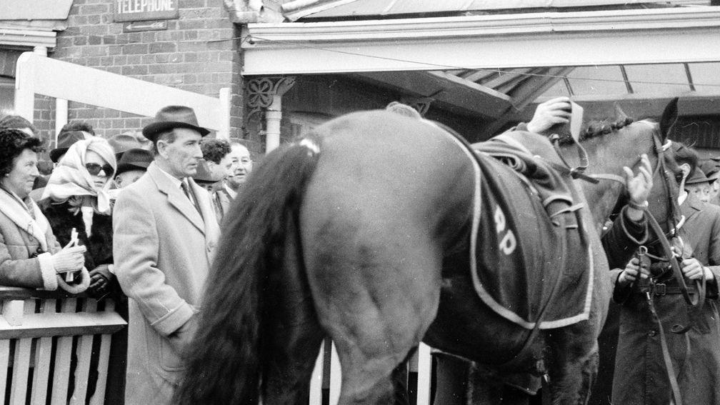 Ryan Price inspects Hill House after the horse had romped home in the 1967 Schweppes Gold Trophy, provoking a huge controversy