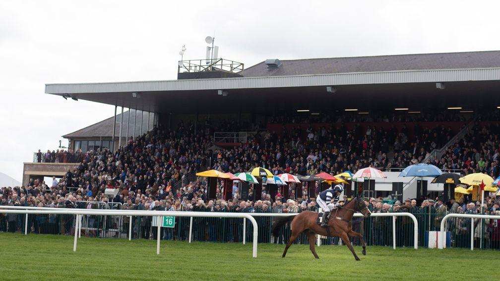 The Punchestown festival saw a record crowd of 126,840 attend in 2019