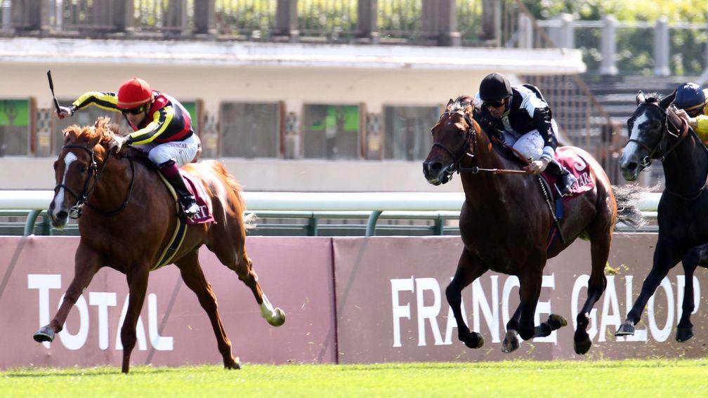 Orfevre twice used success in the Prix Foy as a springboard for the Arc