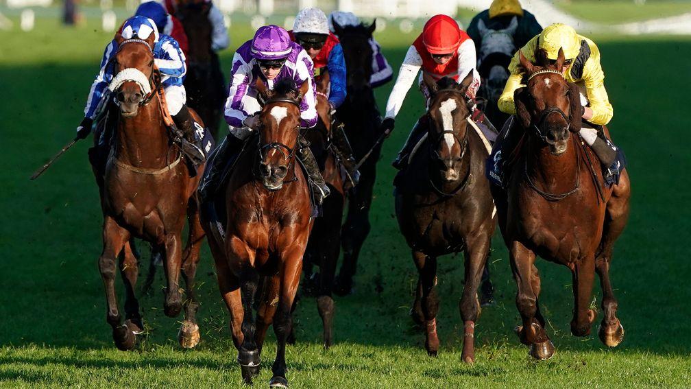 Magical (purple cap) won the Qipco Champion Stakes last year and is favourite again