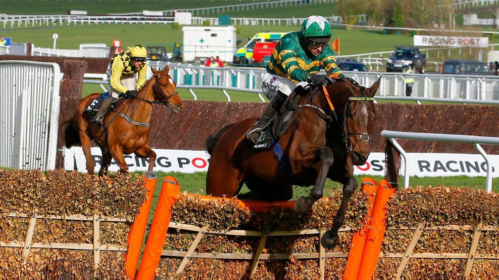 Espoir d'Allen (Mark Walsh) out on his own over the last in the Champ[ion Hurdle at Cheltenham in March