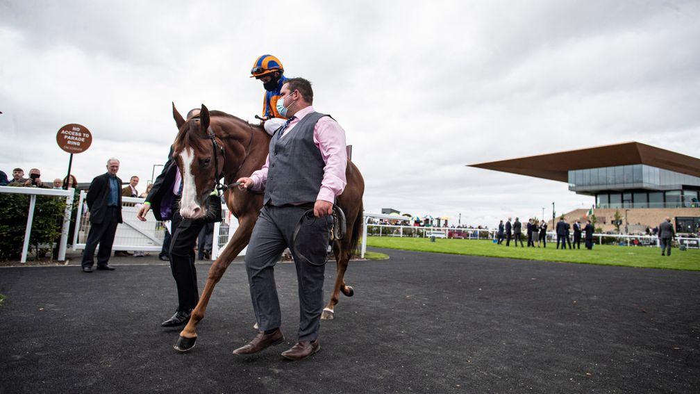 Down but not out: Love returns following her defeat, but trainer Aidan O'Brien was 'delighted' and she could still head for the Arc
