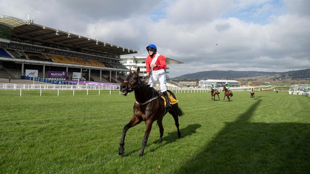 Allaho: one of three winners for owners Cheveley Park Stud at last week's Cheltenham Festival