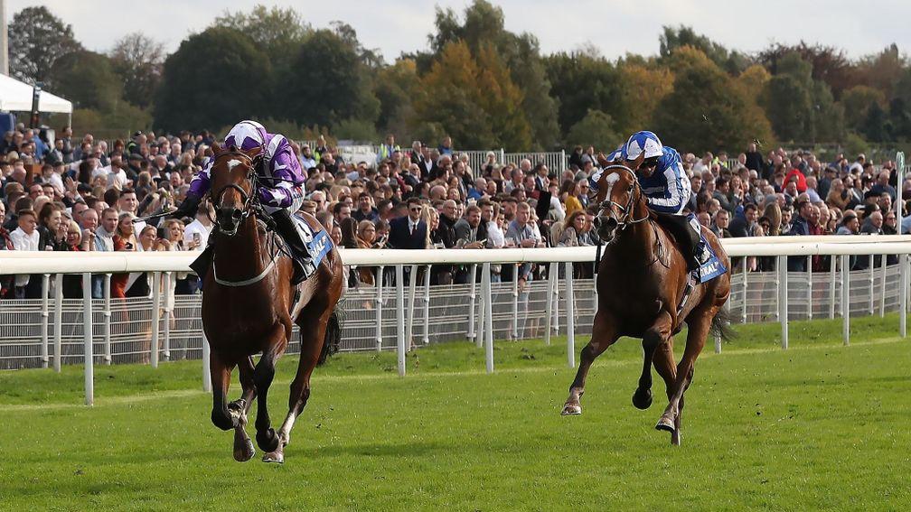 Coolagh Forest (left): wins easily at York last month