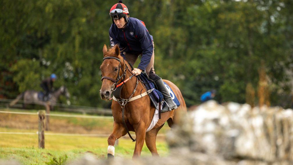 Rosscarbery: set to appear at Longines Irish Champions Weekend