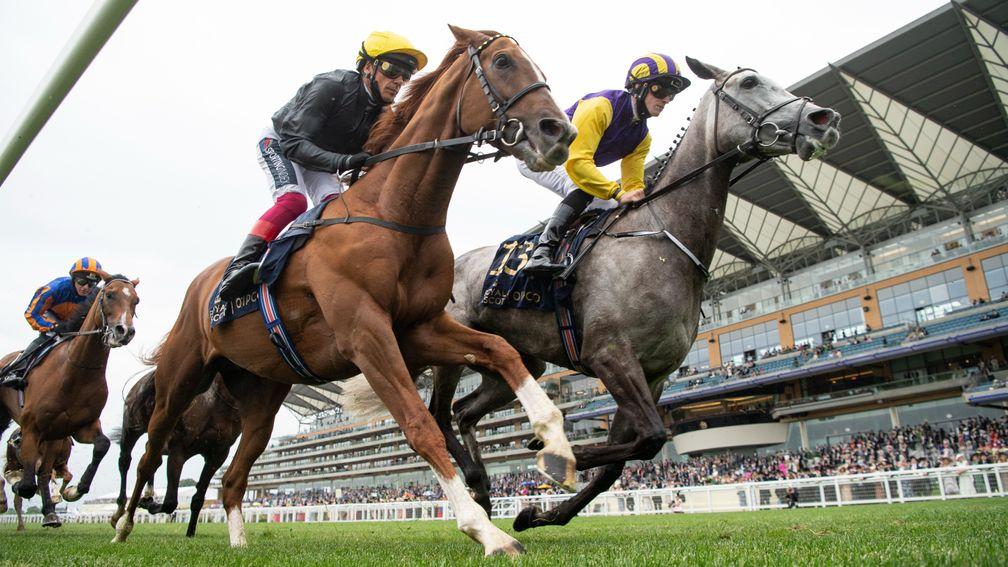 Stradivarius and Princess Zoe match strides during the Gold Cup at Ascot