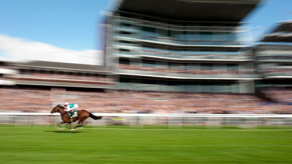Frankel: noney could get close to the legend in the Juddmonte International at York