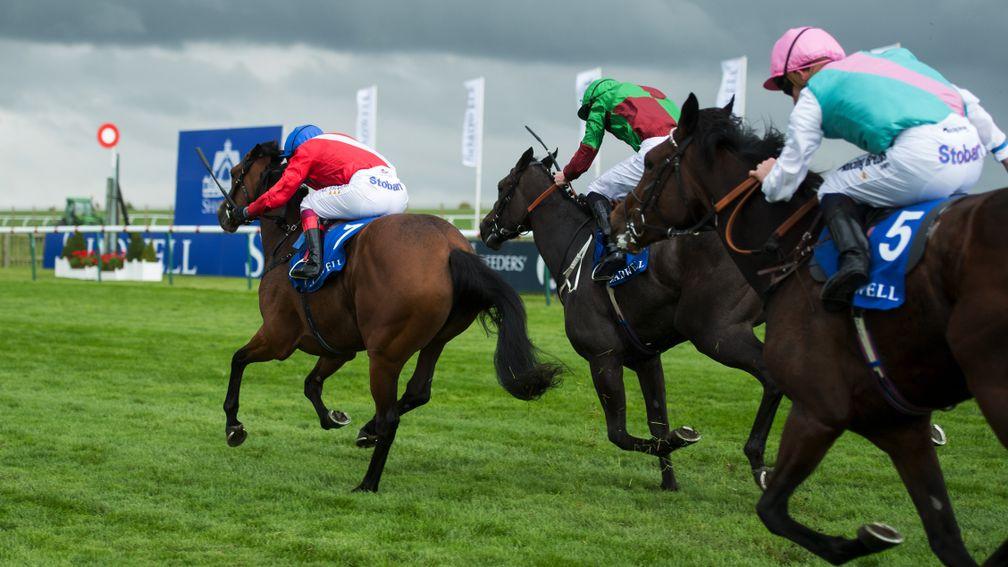 Gavota (right) finishes third in the Rockfel Stakes on her penultimate outing