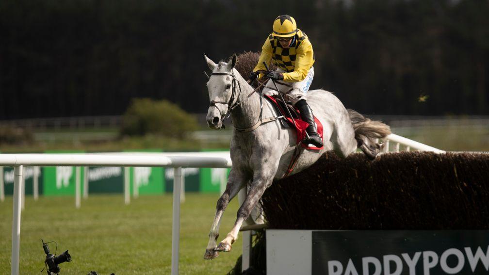 Asterion Forlonge: confirmed on course for the King George by Willie Mullins