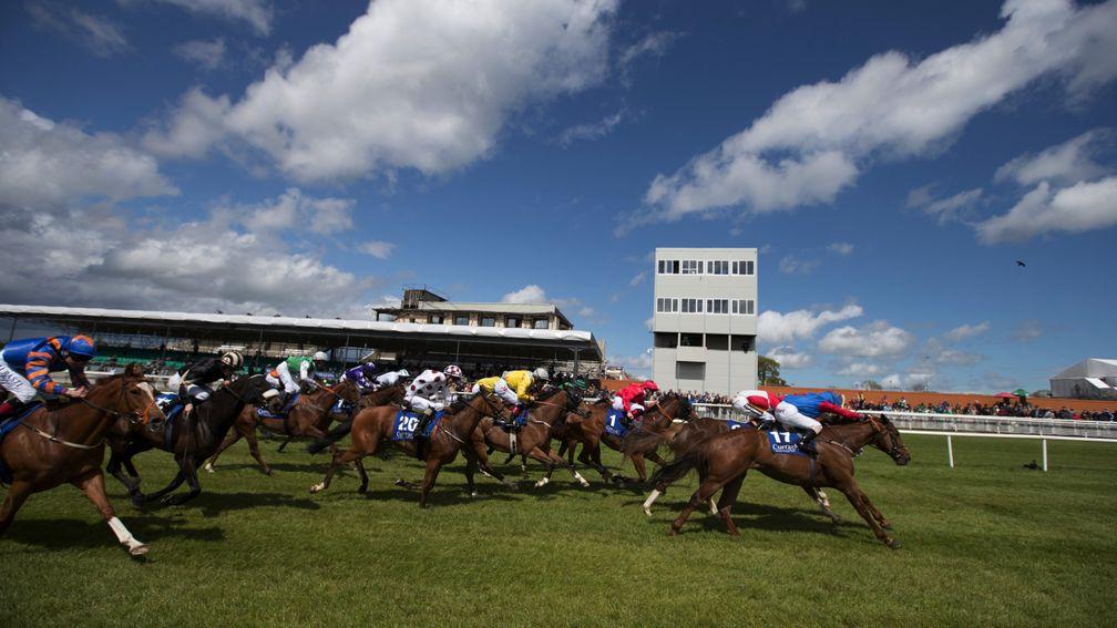 Curragh: the green light had been given to enlarge the parade ring in time for next season