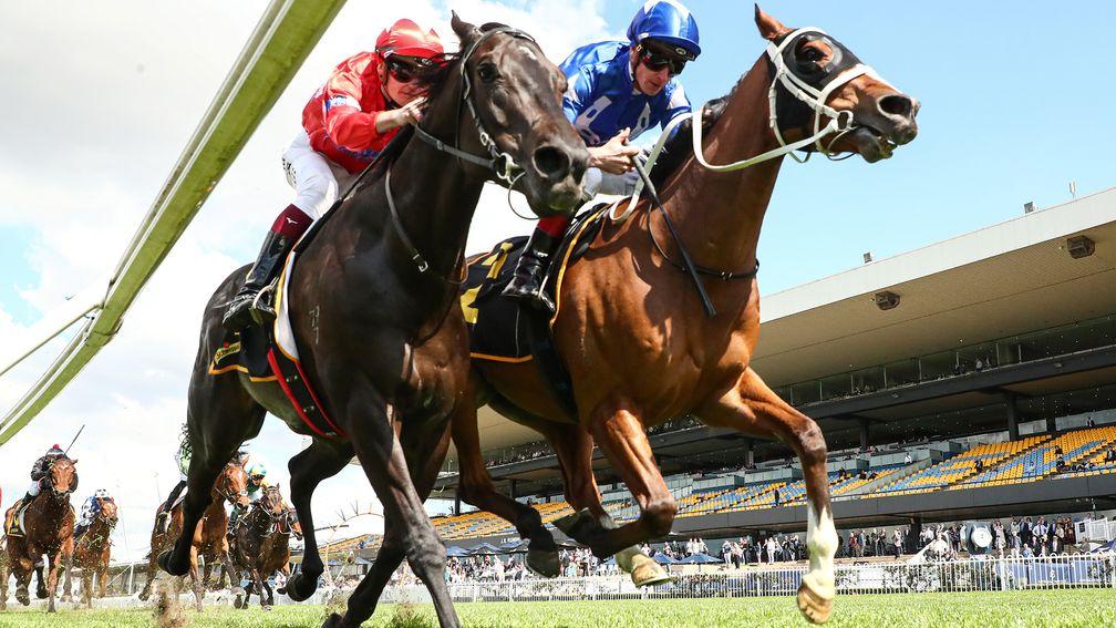 Action from Rosehill this August - the track and its trainers have closure having over them