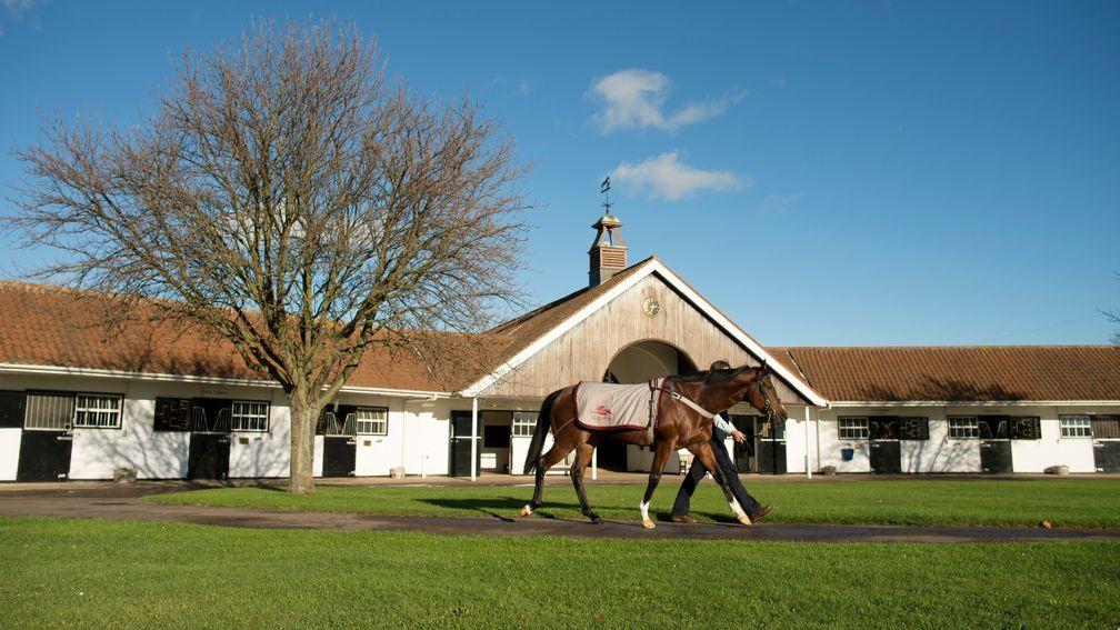 National Stud: based in Newmarket