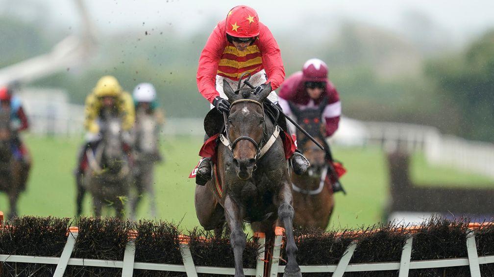Klassical Dream: topped a superb season at Punchestown