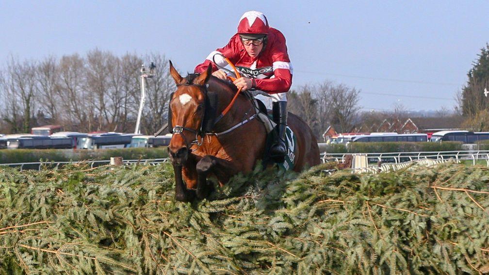 Tiger Roll: Grand National winner is the definition of versatile performer