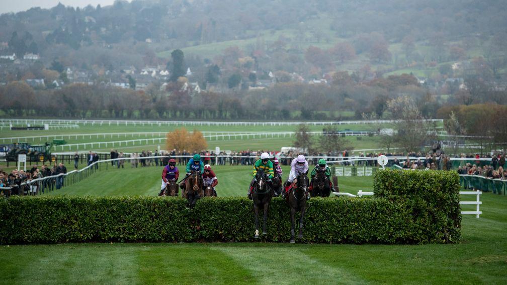 Josies Orders (Mark Walsh,centre) jumps the double spread hedge in the Cross Country ChaseCheltenham 16.11.18 Pic: Edward Whitaker