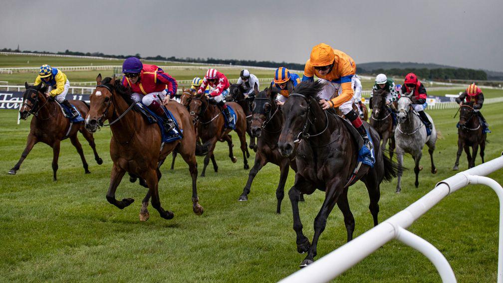 Visualisation (orange cap): the highest-rated entrant in the London Sale catalogue scores at the Curragh