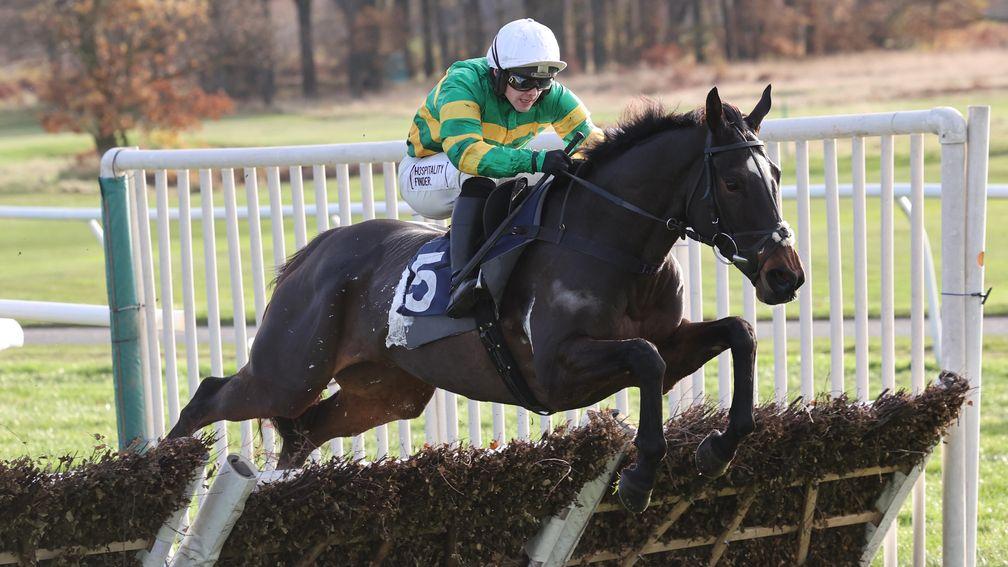Crebilly: carries top weight for his chase debut at Cheltenham