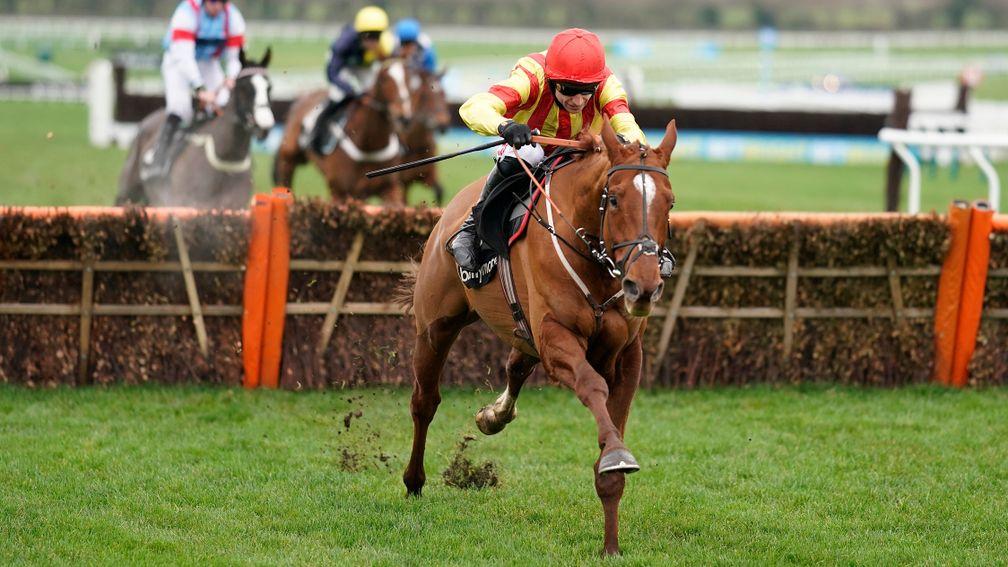 Jarveys Plate storms clear in the Ballymore Novices' Hurdle at Cheltenham on New Year's Day