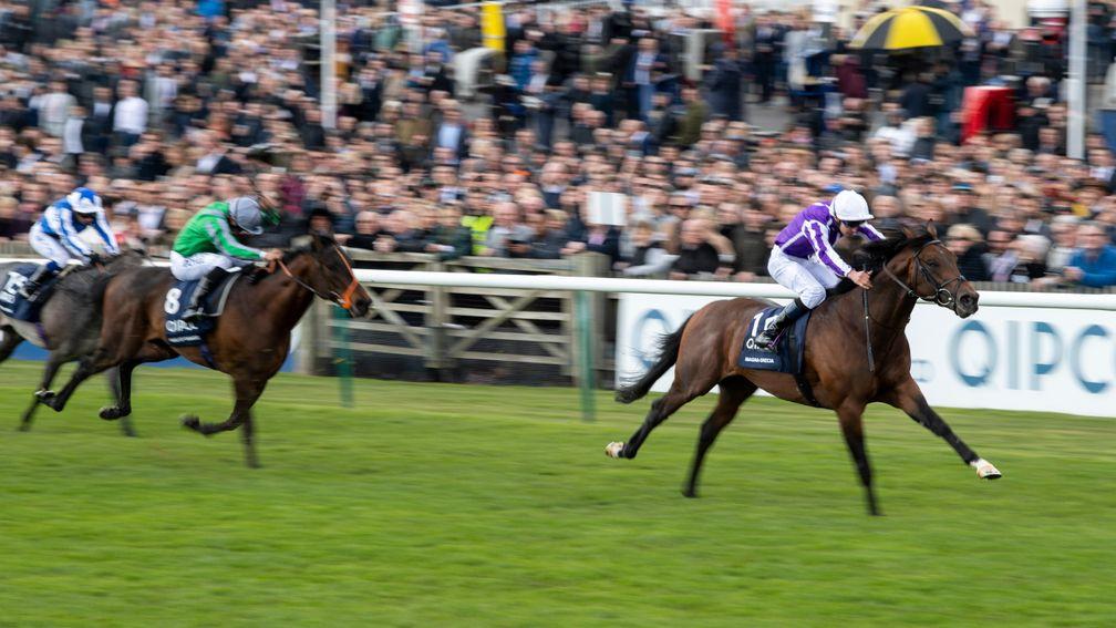 Hopes remain high the 2,000 Guineas will be able to take place this season