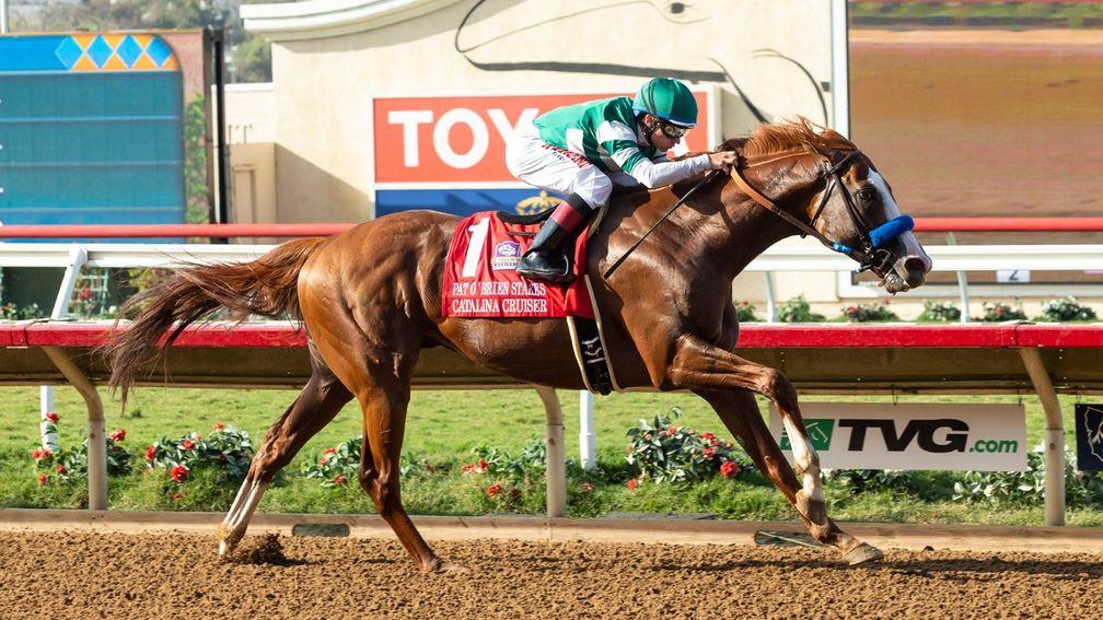 Catalina Cruiser has turned in a sequence of fine performances at Del Mar