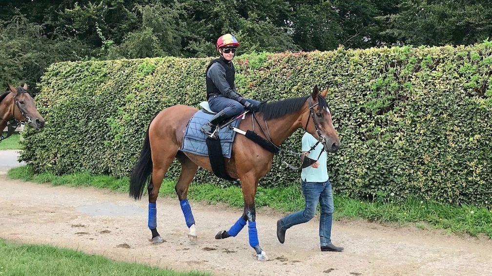 Enable and Frankie Dettori head to the Al Bahathri this morning