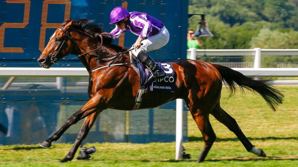 Highland Reel: back to a mile and a half for first time since King George win