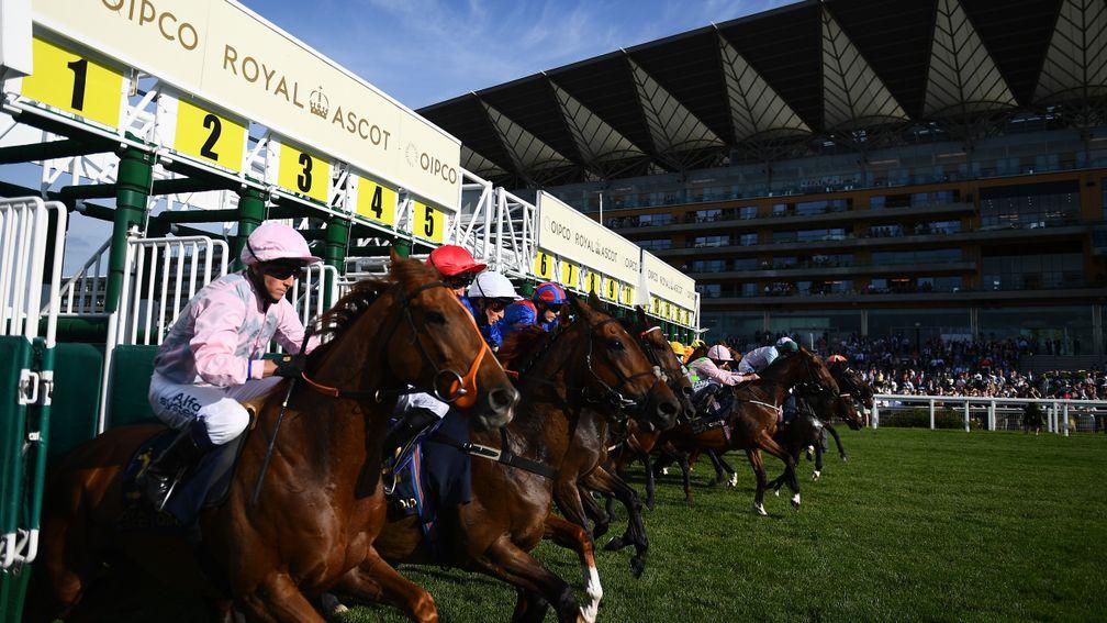 ASCOT, ENGLAND - JUNE 15: Runenrs make their way out of the stalls at the start of the Copper Horse Stakes on Day One of the Royol Ascot Meeting at Ascot Racecourse on June 15, 2021 in Ascot, England. A total of twelve thousand racegoers made up of Owners