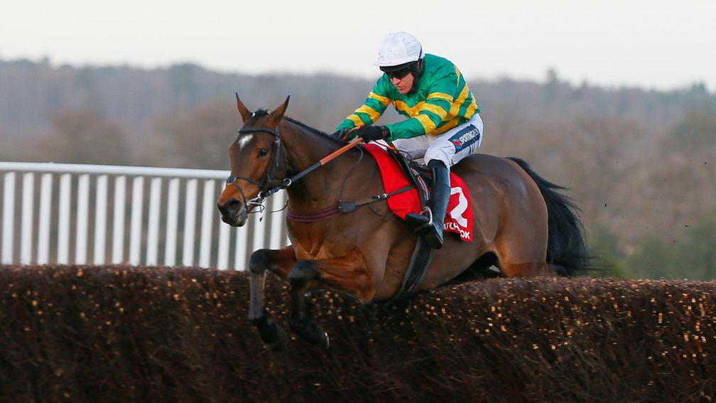 Defi Du Seuil: 10-1 for the Tingle Creek but looks likely to miss Sandown test