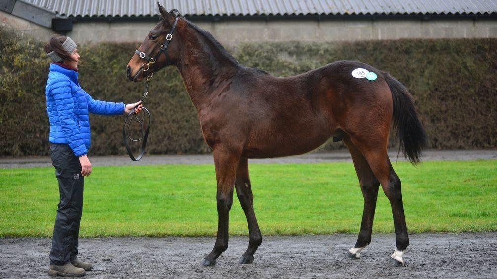 Milan colt out of a half-sister to Appreciate It made €54,000