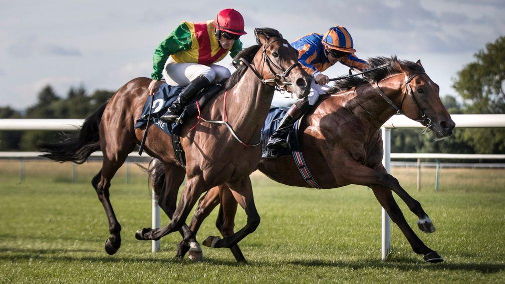 Christmas (right) sticks his neck out to win the Caravaggio Stakes