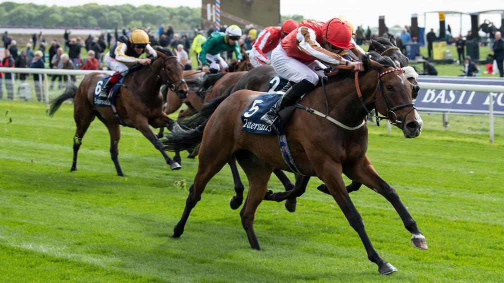 Give And Take gives Cityscape a second Group 3 winner with victory in the Musidora Stakes at York
